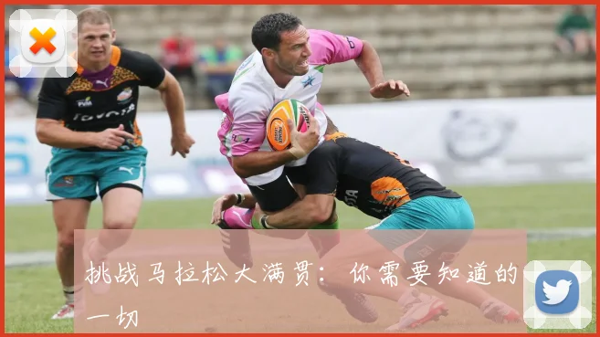 挑战马拉松大满贯：你需要知道的一切